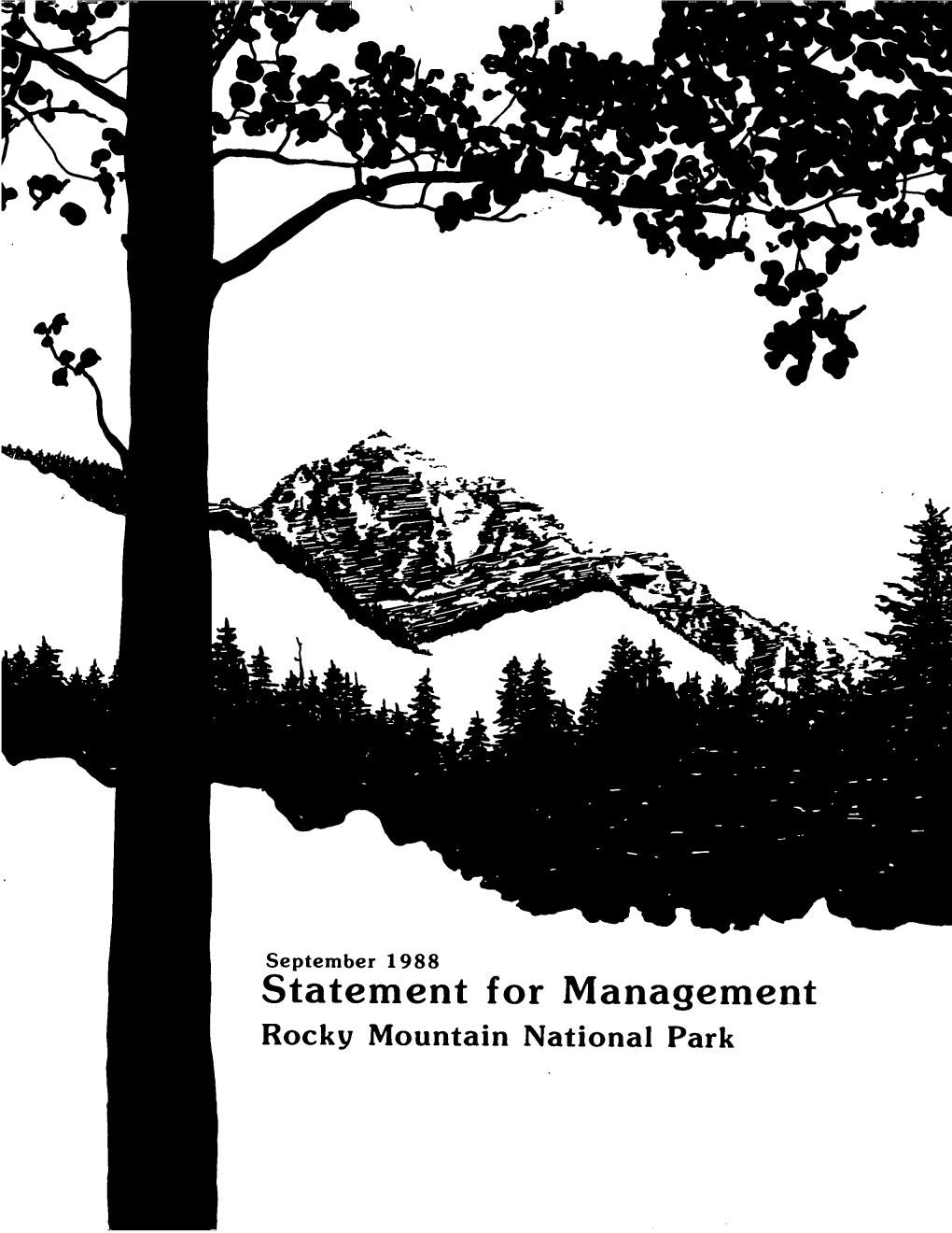 Statement for Management
