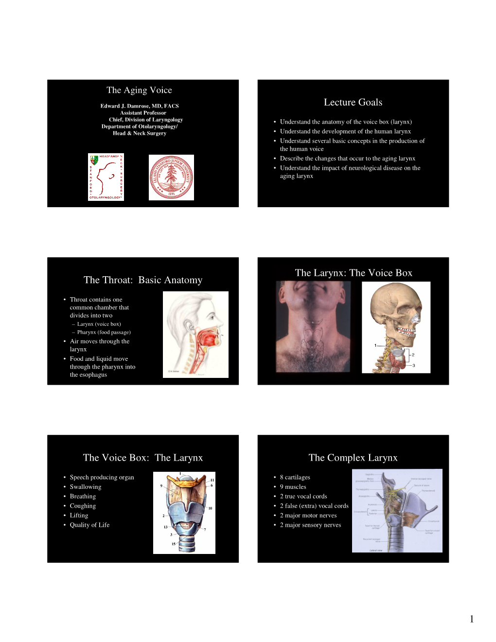 1 Lecture Goals the Throat: Basic Anatomy the Larynx: the Voice