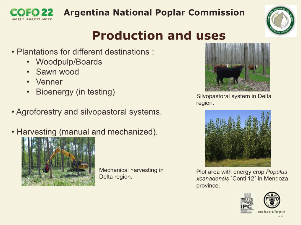 Salicaceae Symposium 2006 Buenos Aires, Argentina Delta Del Paraná Region