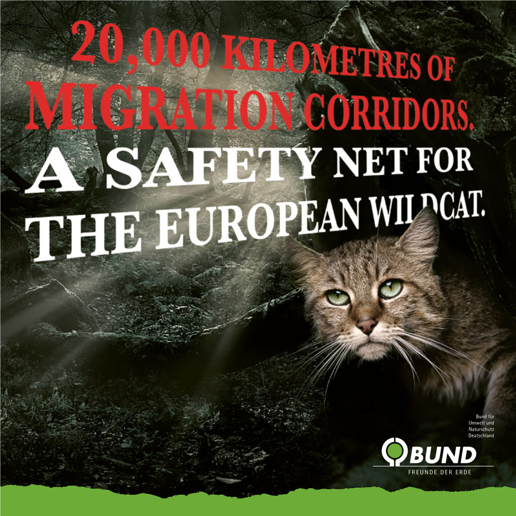 20000 Kilometers of Mirgration Corridors. a Safety Net for The