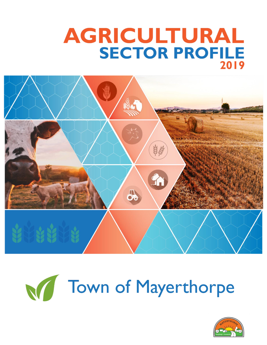 Agricultural Sector Profile