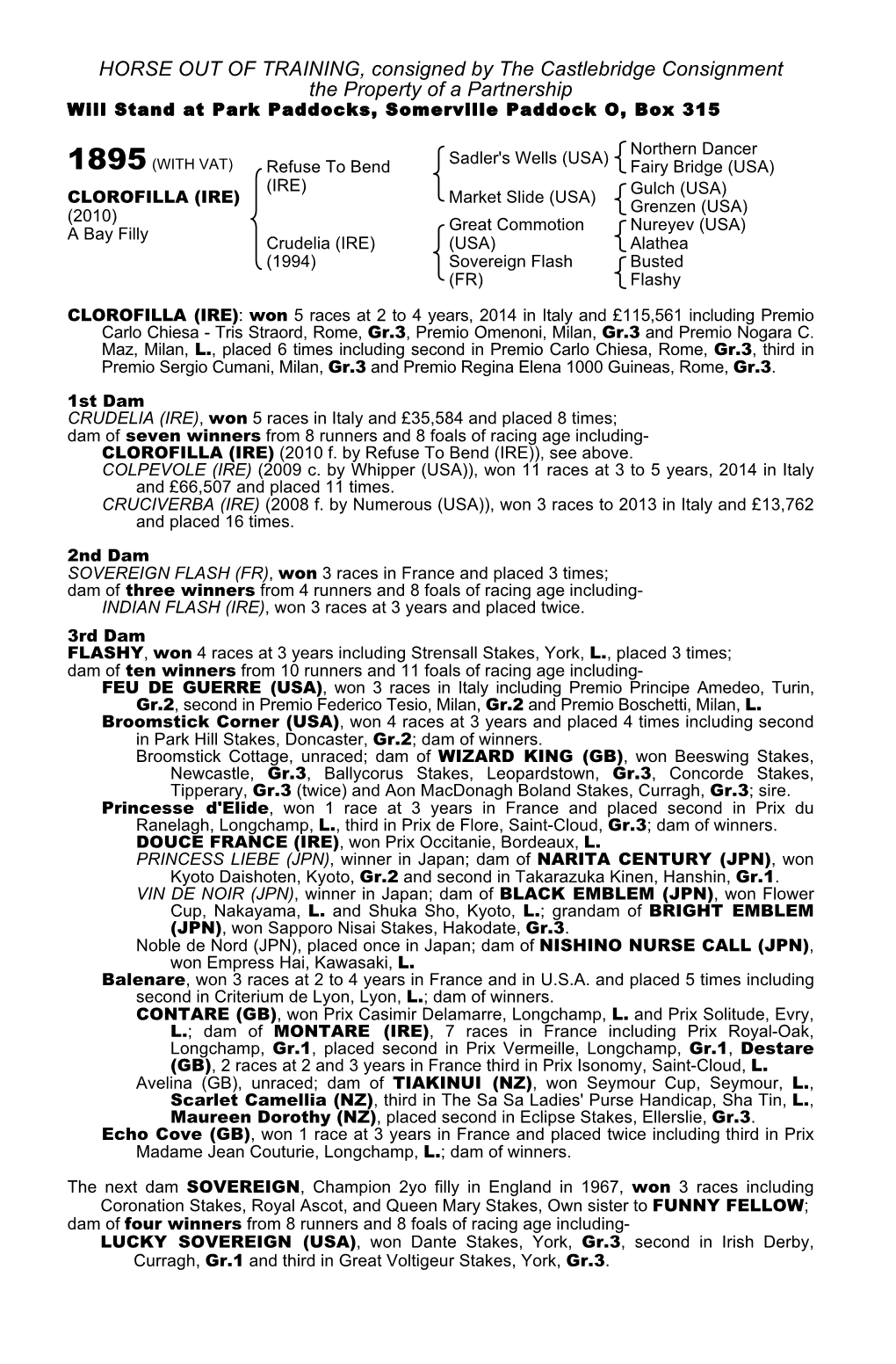 HORSE out of TRAINING, Consigned by the Castlebridge Consignment the Property of a Partnership Will Stand at Park Paddocks, Somerville Paddock O, Box 315
