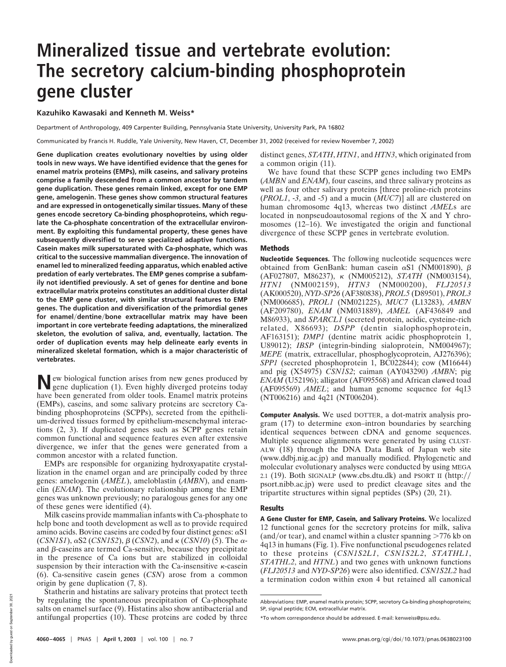 The Secretory Calcium-Binding Phosphoprotein Gene Cluster