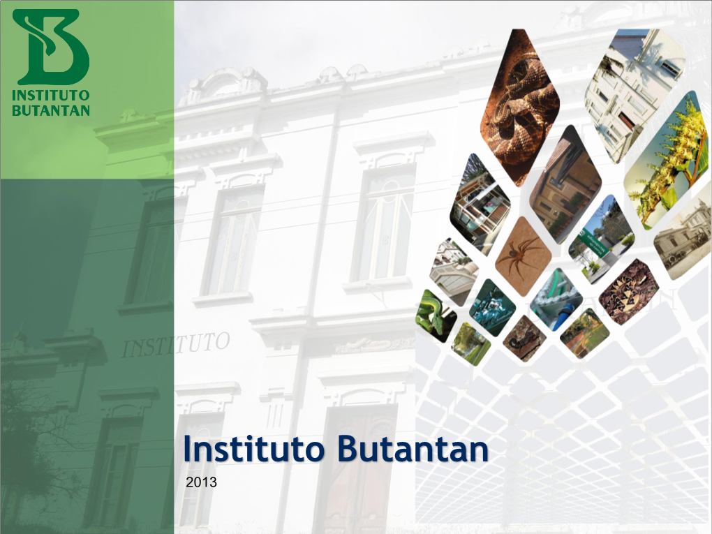 Instituto Butantan 2013 BRAZILIAN MARKET for VACCINES IT IS a PUBLIC MARKET