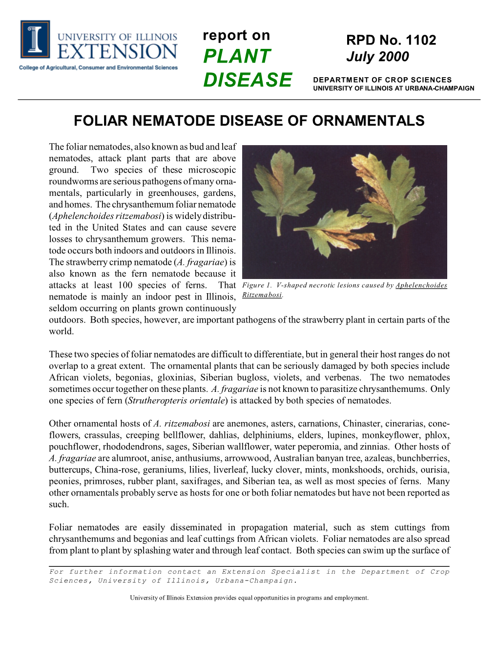 Foliar Nematode Disease of Ornamentals