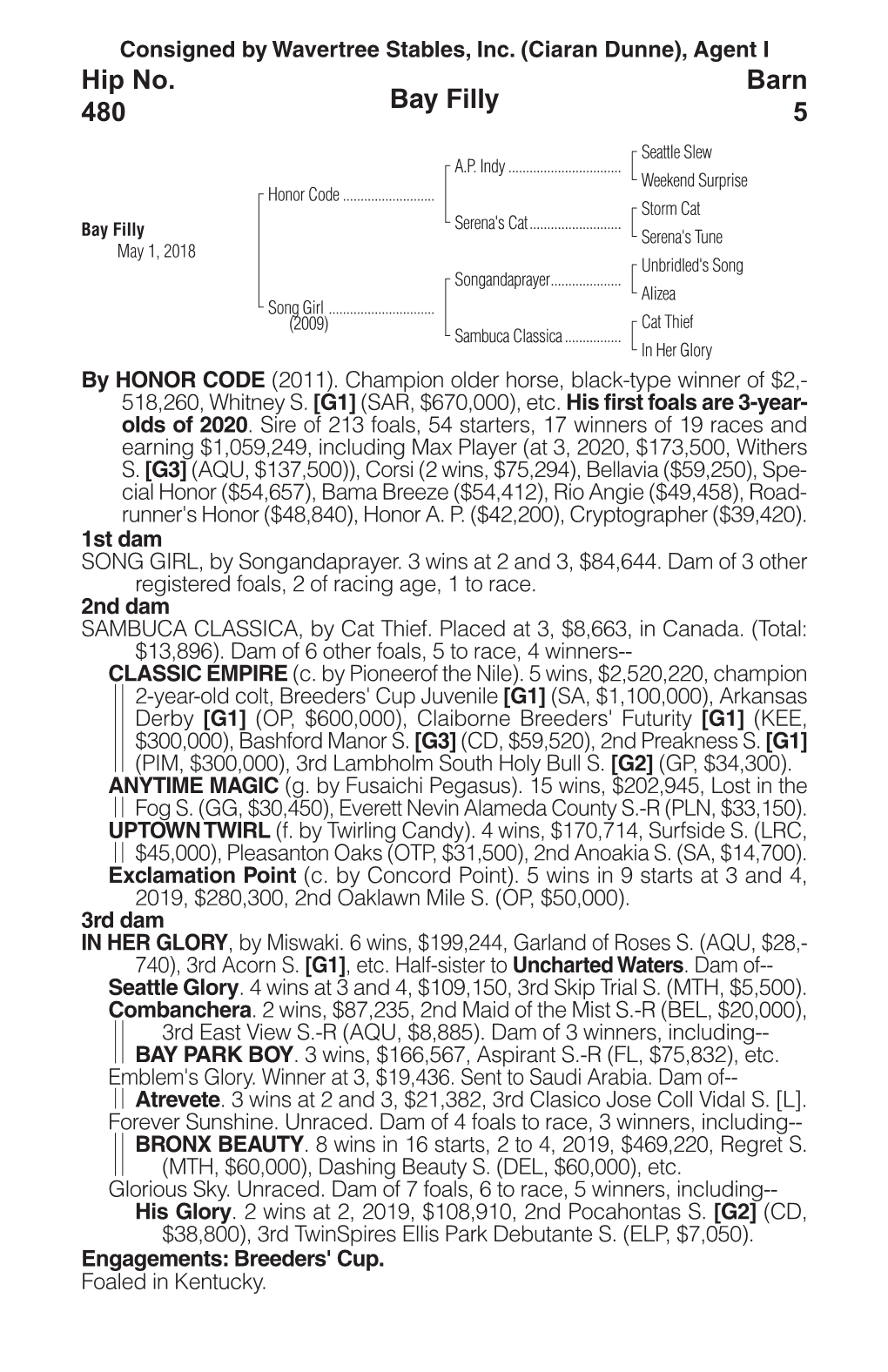 Bay Filly Barn 5 Hip No