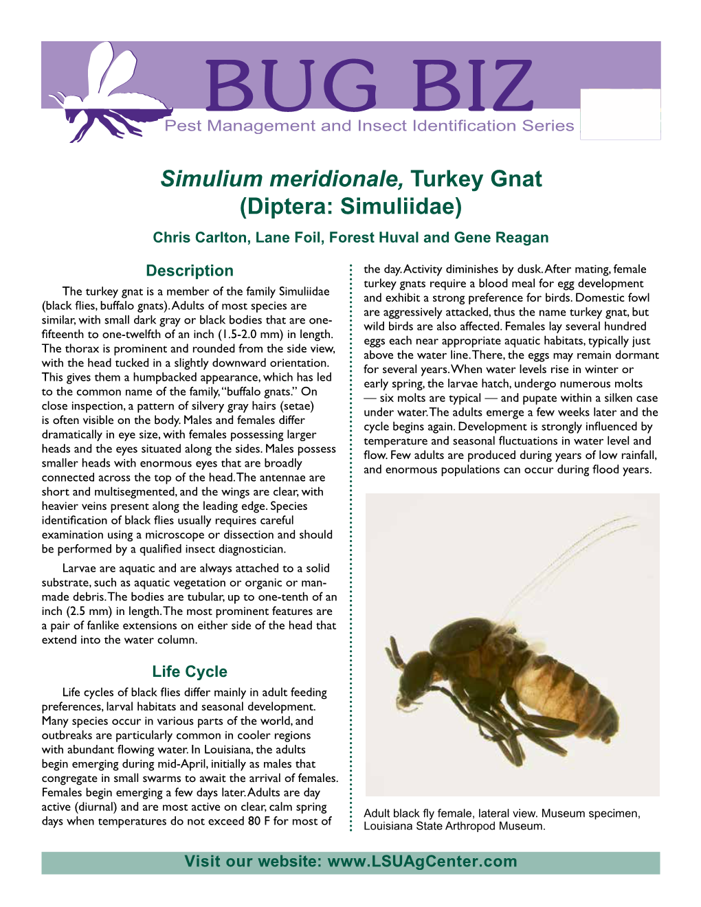 Simulium Meridionale, Turkey Gnat (Diptera: Simuliidae) Chris Carlton, Lane Foil, Forest Huval and Gene Reagan