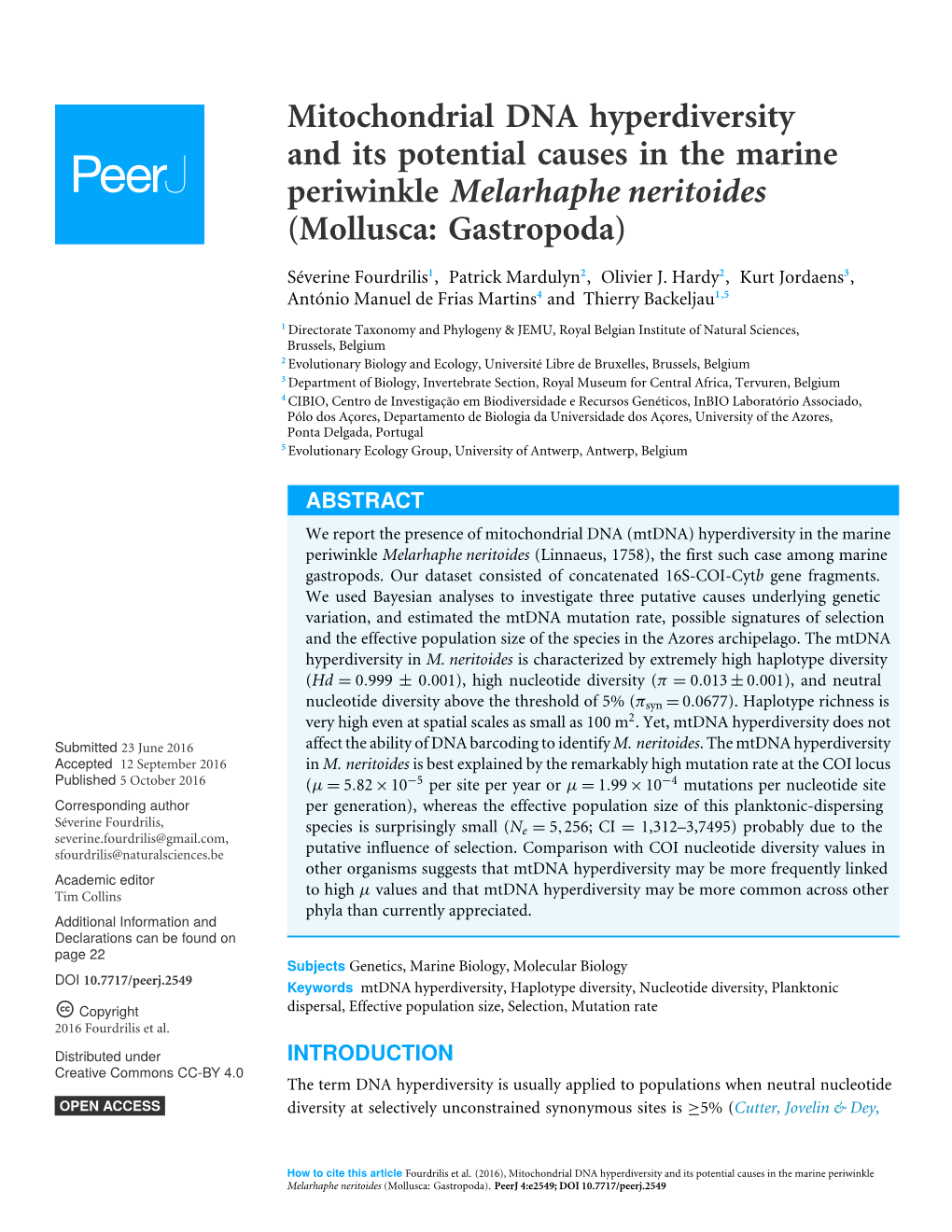 Mitochondrial DNA Hyperdiversity and Its Potential Causes in the Marine Periwinkle Melarhaphe Neritoides (Mollusca: Gastropoda)