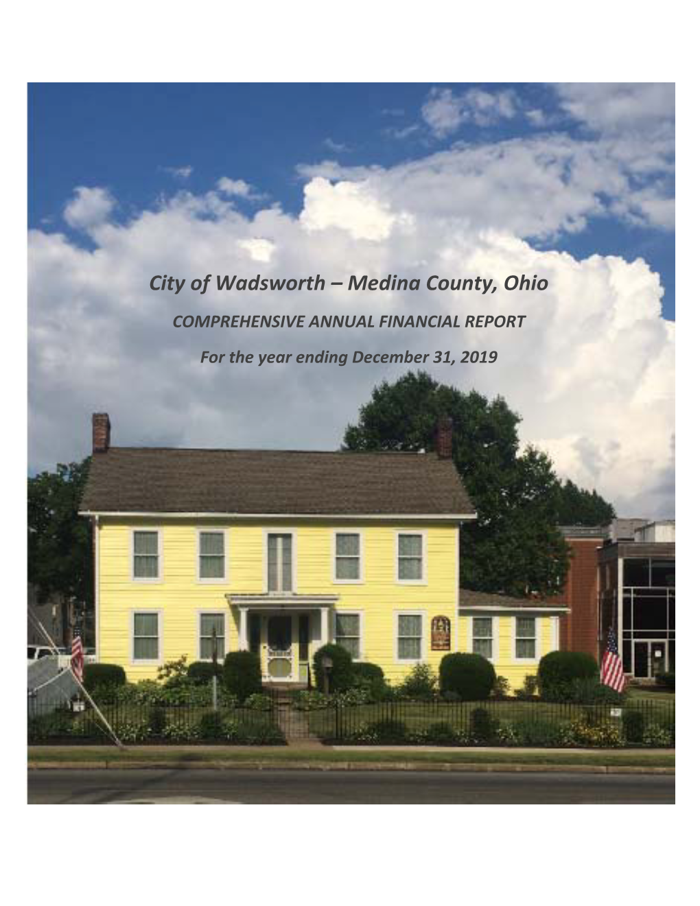 Medina County, Ohio COMPREHENSIVE ANNUAL FINANCIAL REPORT for the Year Ending December 31, 2019