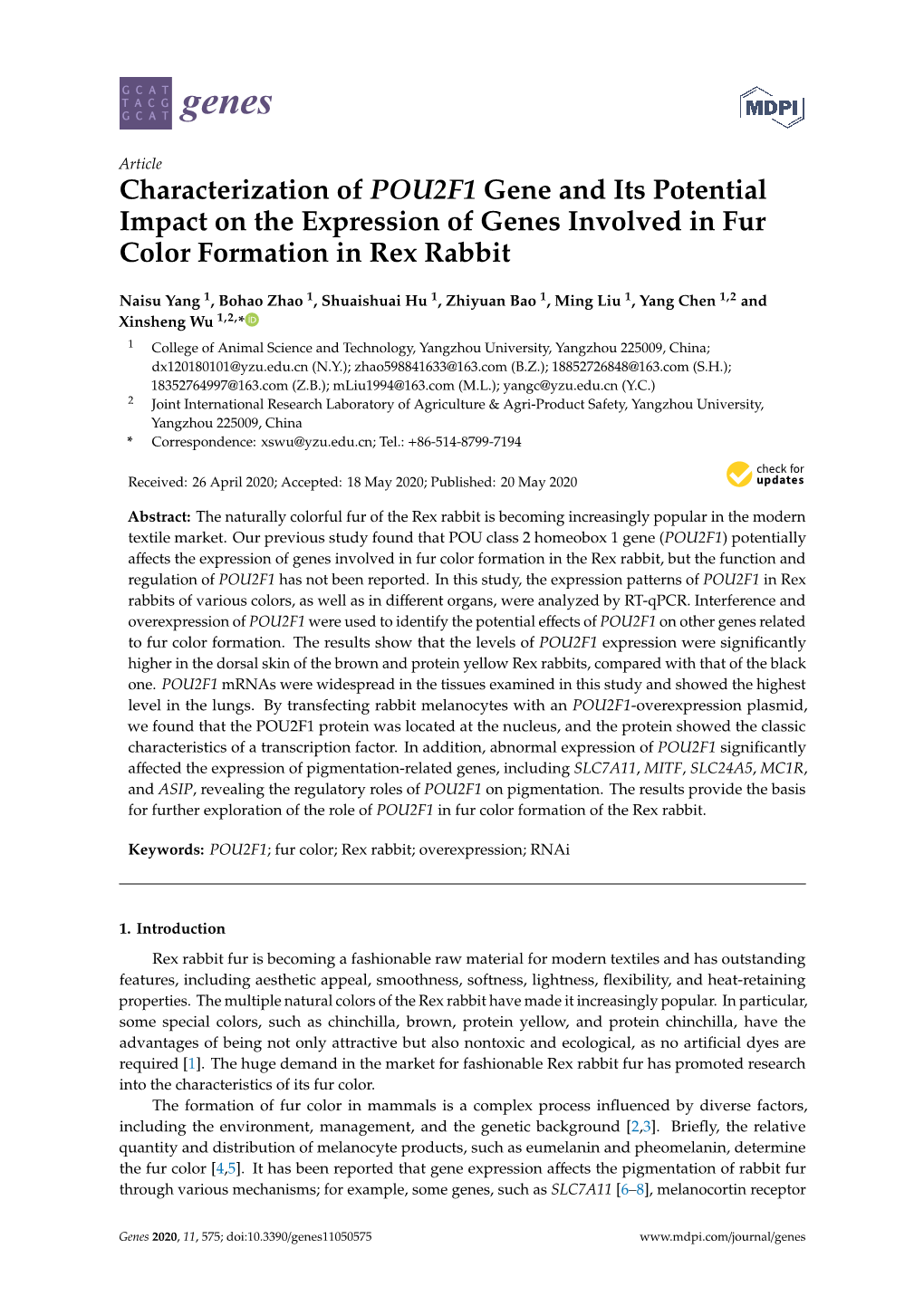 Characterization of POU2F1 Gene and Its Potential Impact on the Expression of Genes Involved in Fur Color Formation in Rex Rabbit