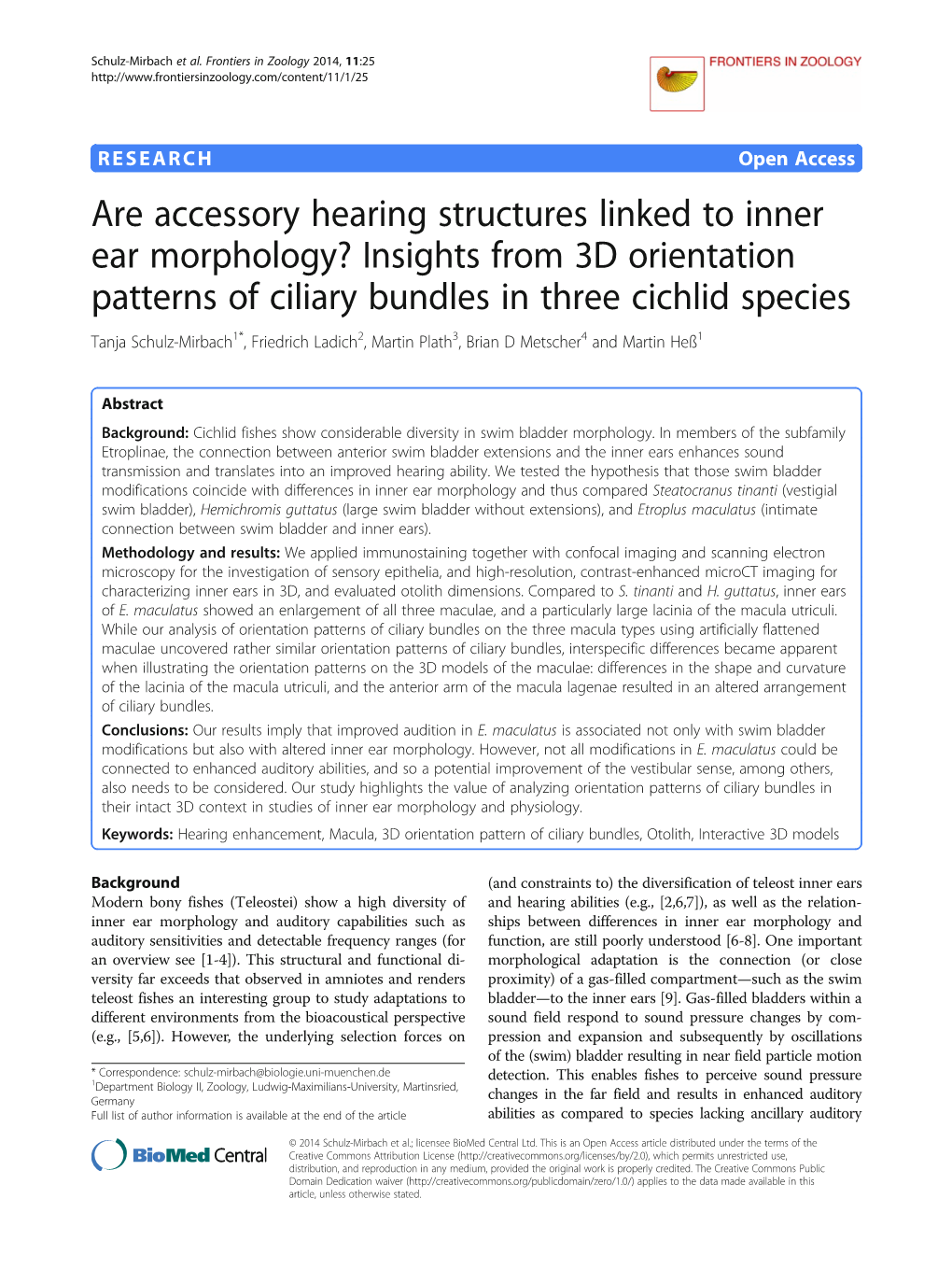 Are Accessory Hearing Structures Linked to Inner Ear