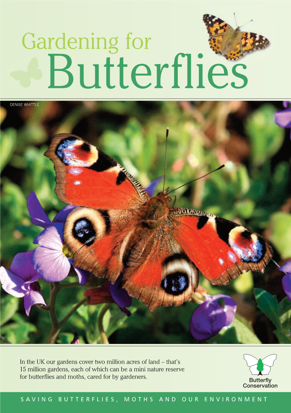 Gardening for Butterflies