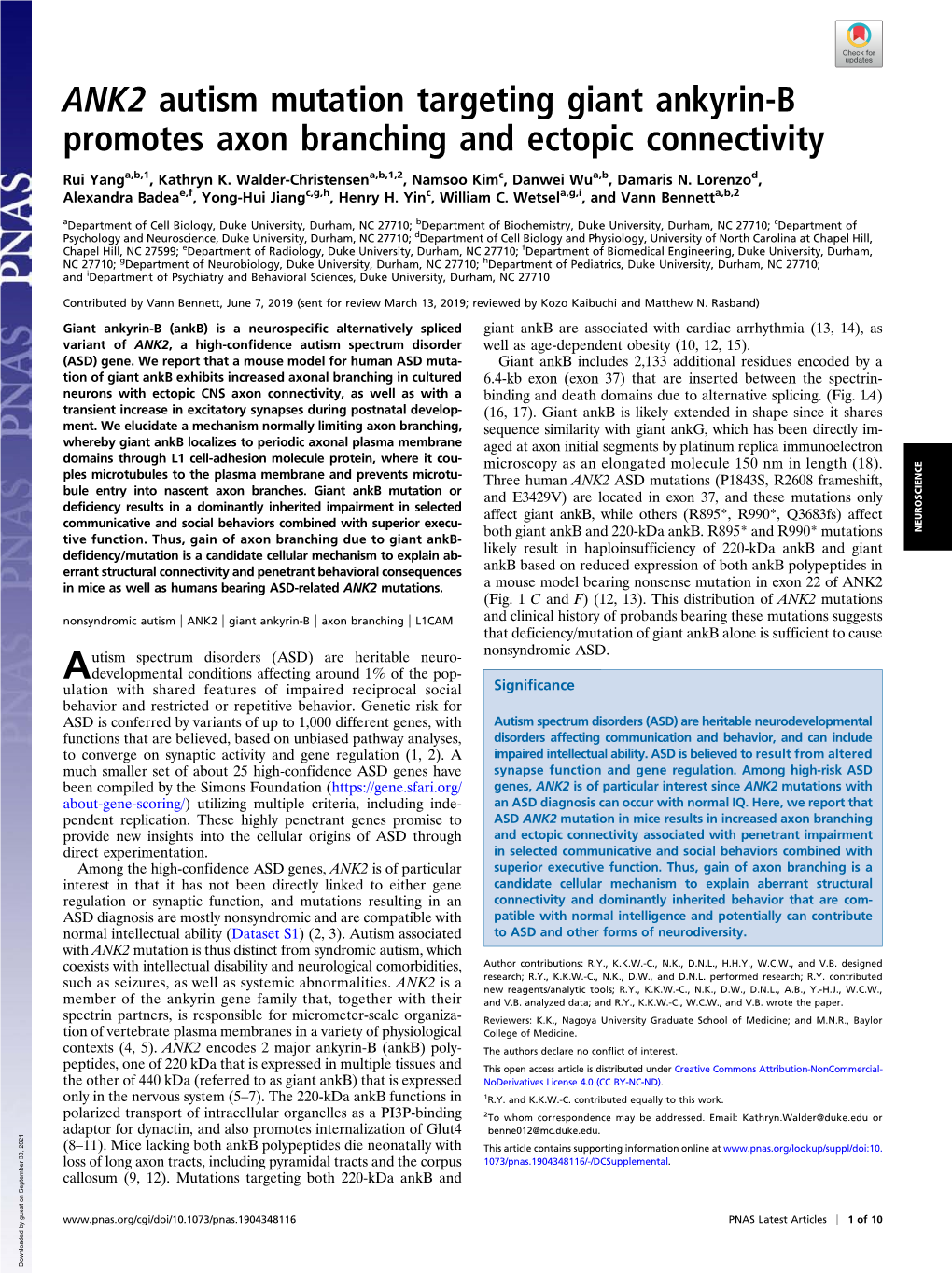 ANK2 Autism Mutation Targeting Giant Ankyrin-B Promotes Axon Branching and Ectopic Connectivity