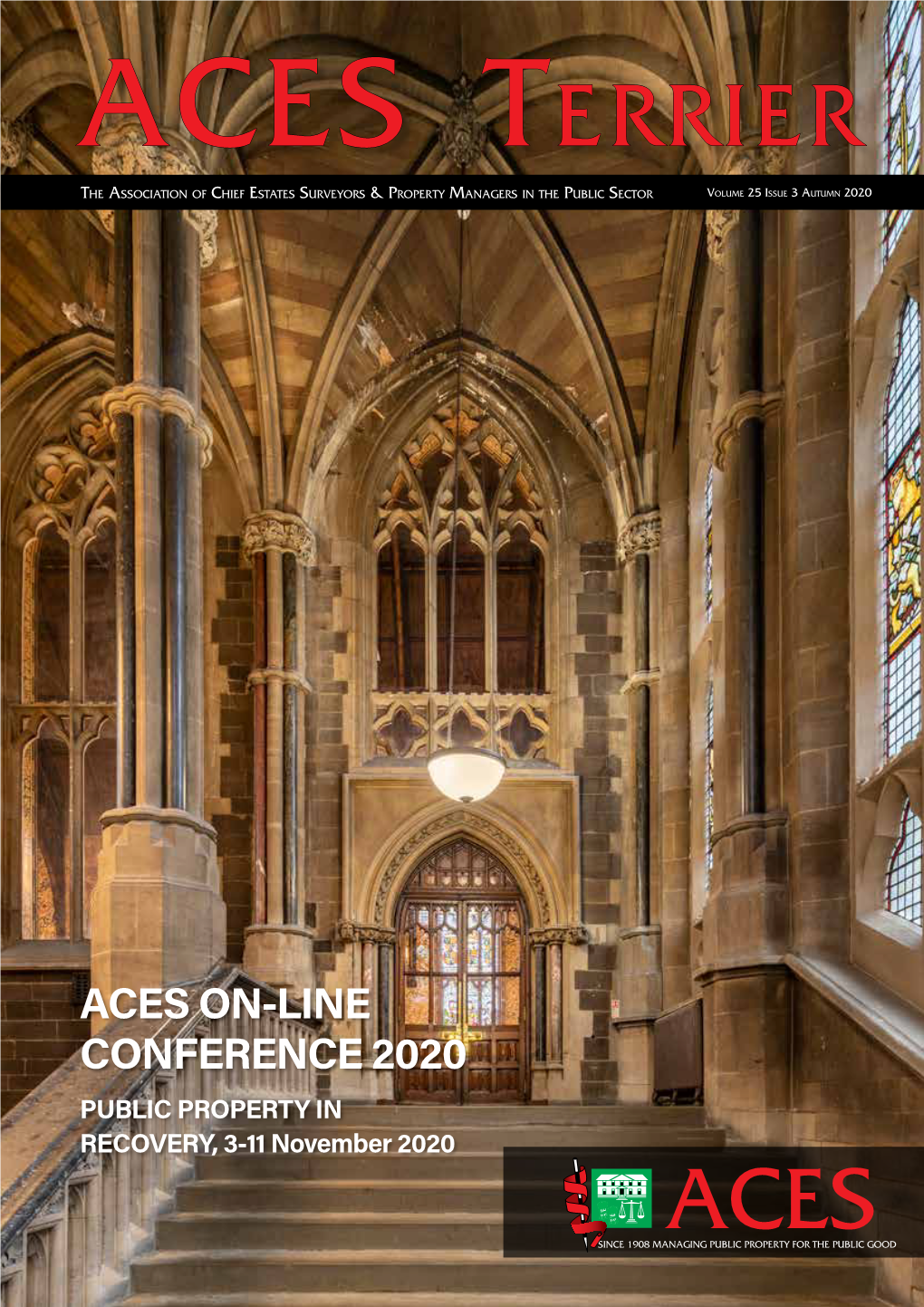 ACES ON-LINE CONFERENCE 2020 PUBLIC PROPERTY in RECOVERY, 3-11 November 2020