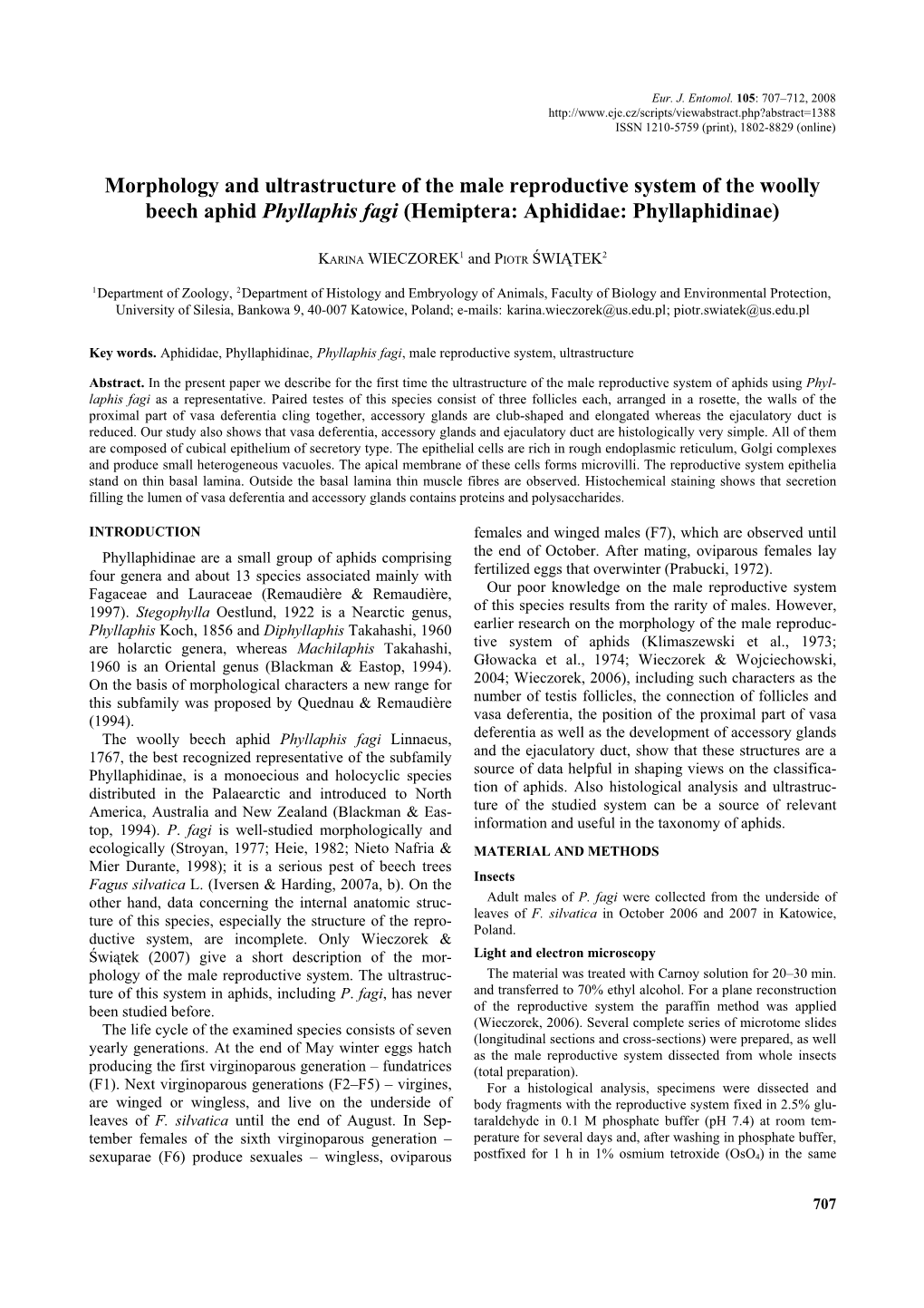 Morphology and Ultrastructure of the Male Reproductive System of the Woolly Beech Aphid Phyllaphis Fagi (Hemiptera: Aphididae: Phyllaphidinae)