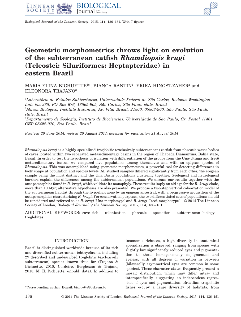 Geometric Morphometrics Throws Light on Evolution of the Subterranean Catfish Rhamdiopsis Krugi (Teleostei: Siluriformes: Heptap