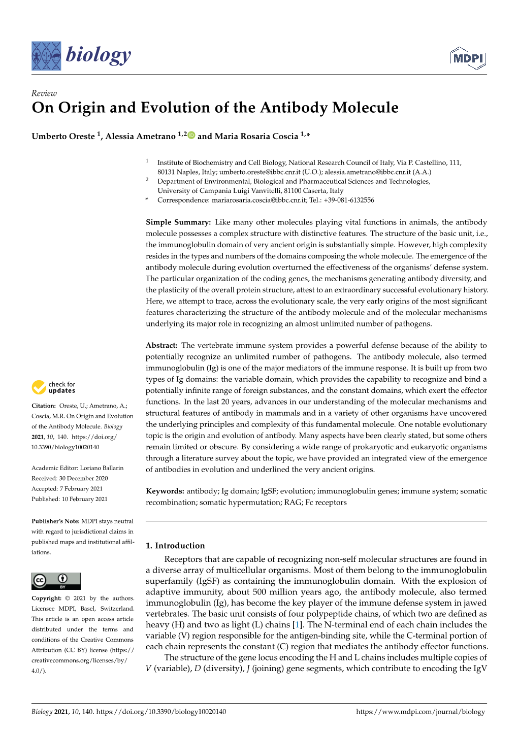 On Origin and Evolution of the Antibody Molecule