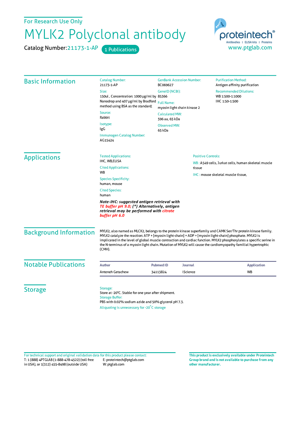 MYLK2 Polyclonal Antibody Catalog Number:21173-1-AP 1 Publications