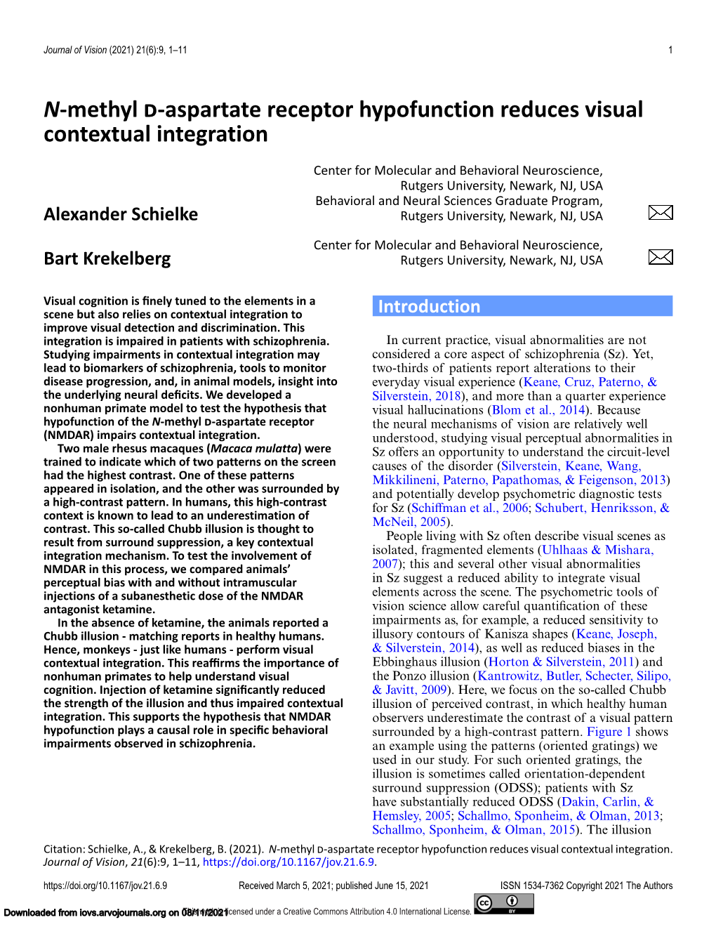 N-Methyl D-Aspartate Receptor Hypofunction Reduces Visual Contextual Integration