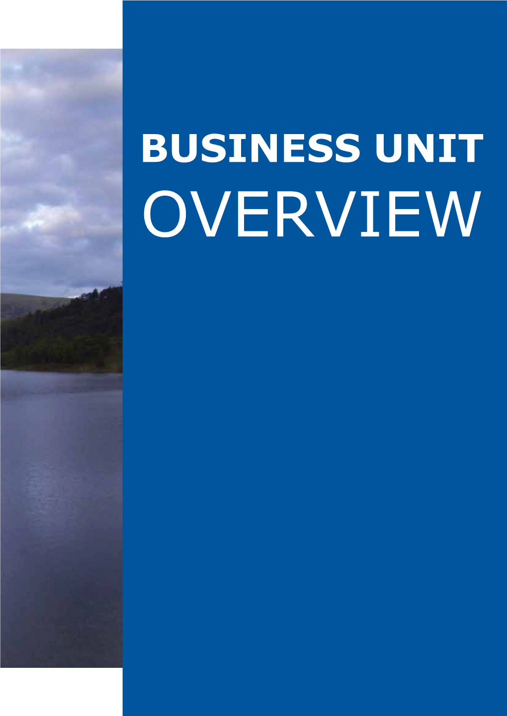Business Unit Overview