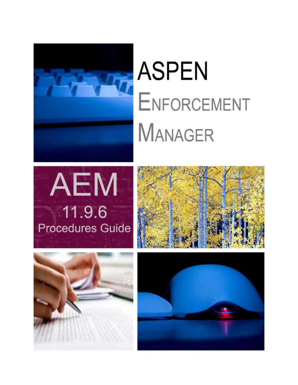 AEM 11.9.6 Procedures Guide