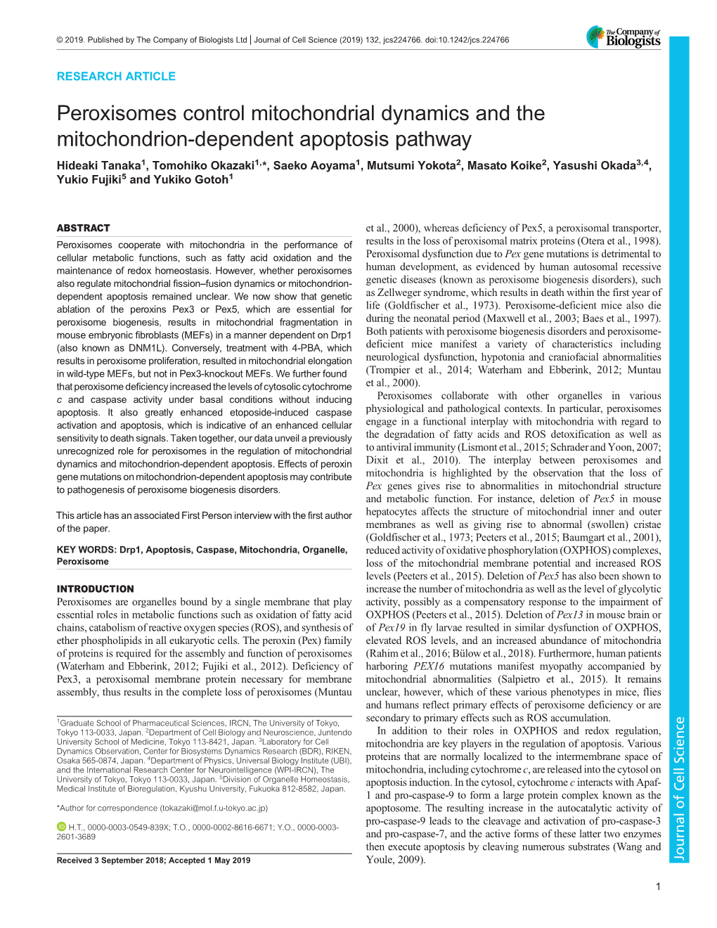 Peroxisomes Control Mitochondrial Dynamics and the Mitochondrion-Dependent Apoptosis Pathway