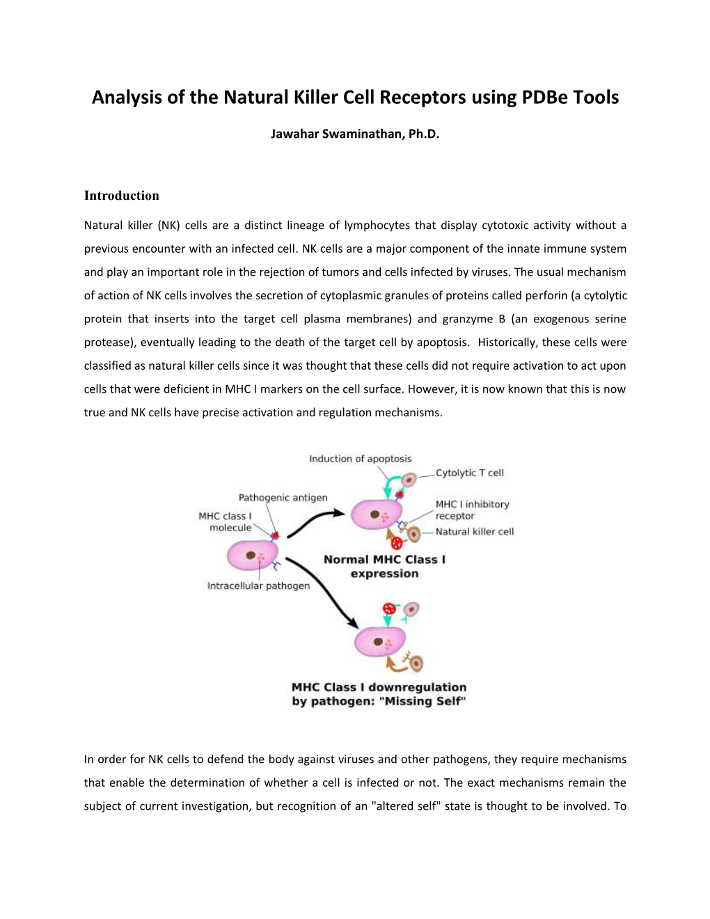 Exploring Pdbe Services (Looking at Natural Killer Cells)