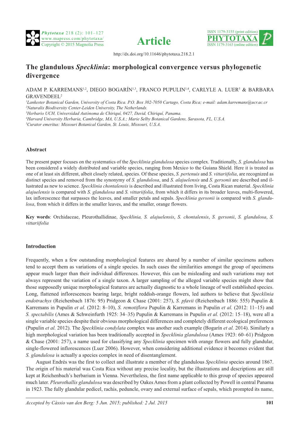 The Glandulous Specklinia: Morphological Convergence Versus Phylogenetic Divergence