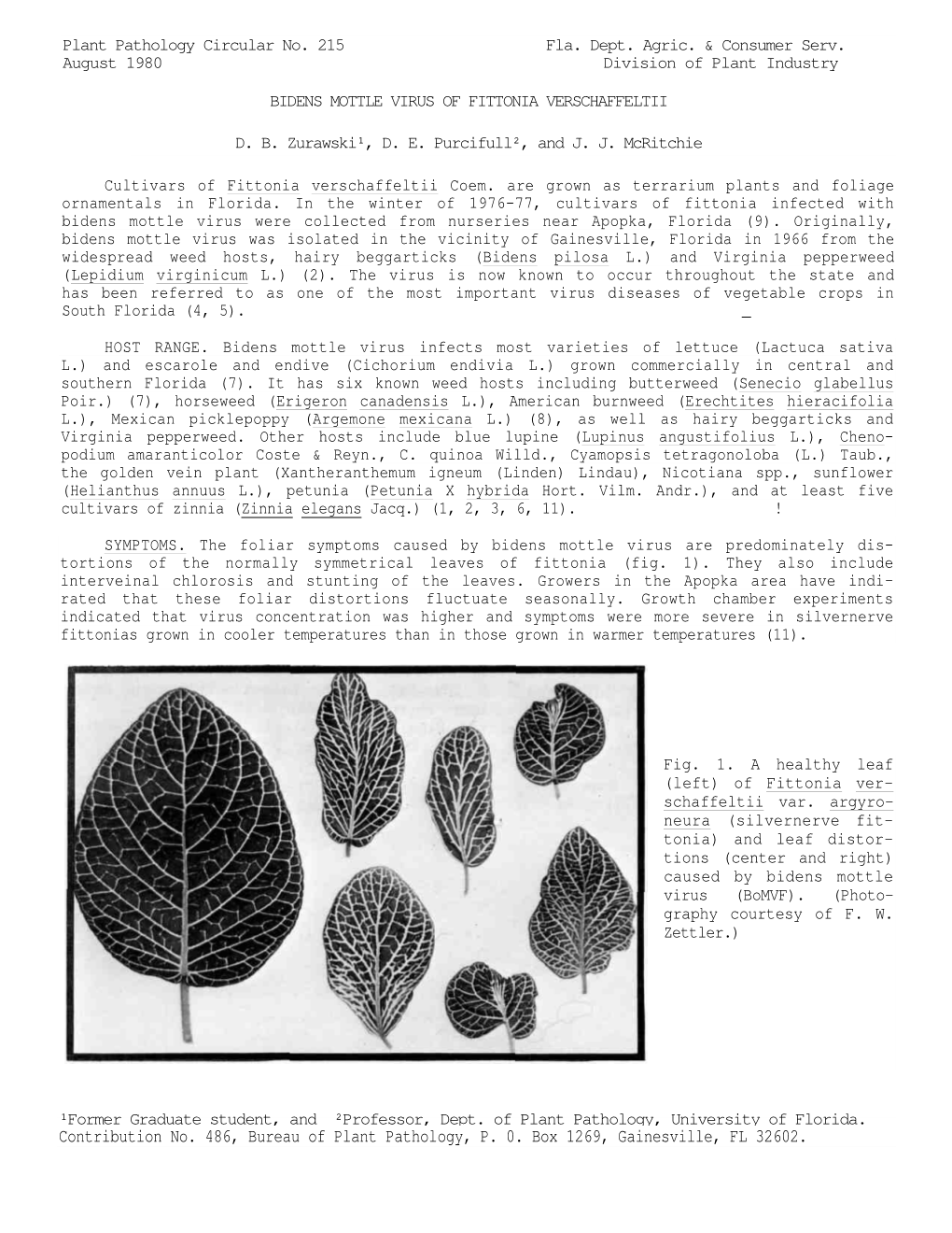 Contribution No. 486, Bureau of Plant Pathology, P. 0. Box 1269, Gainesville, FL 32602