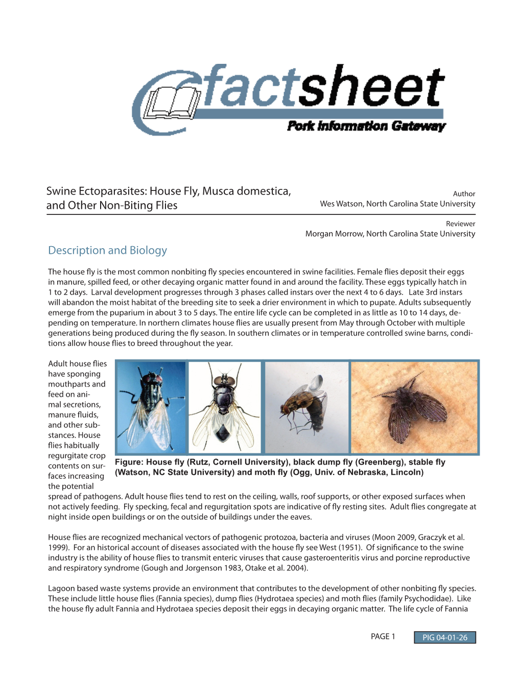 Swine Ectoparasites: House Fly, Musca Domestica, and Other Non-Biting Flies Description and Biology