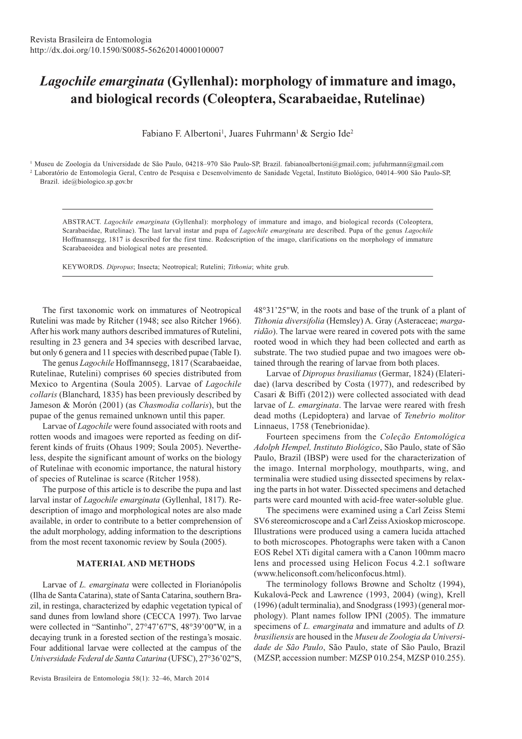 Lagochile Emarginata (Gyllenhal): Morphology of Immature and Imago, and Biological Records (Coleoptera, Scarabaeidae, Rutelinae)