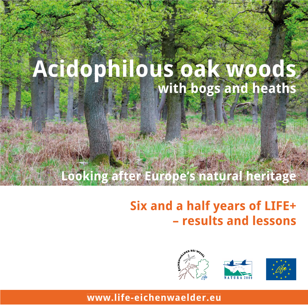 Acidophilous Oak Woods with Bogs and Heaths