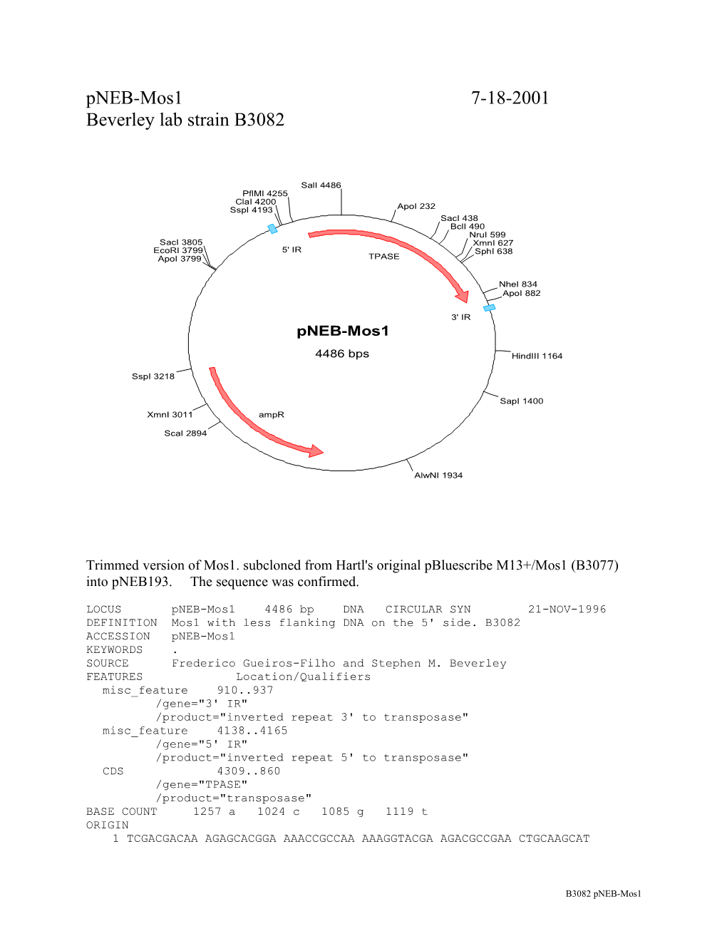 DEFINITION Mos1 with Less Flanking DNA on the 5' Side. B3082