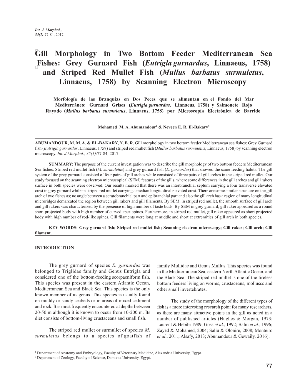 Gill Morphology in Two Bottom Feeder Mediterranean Sea Fishes: Grey