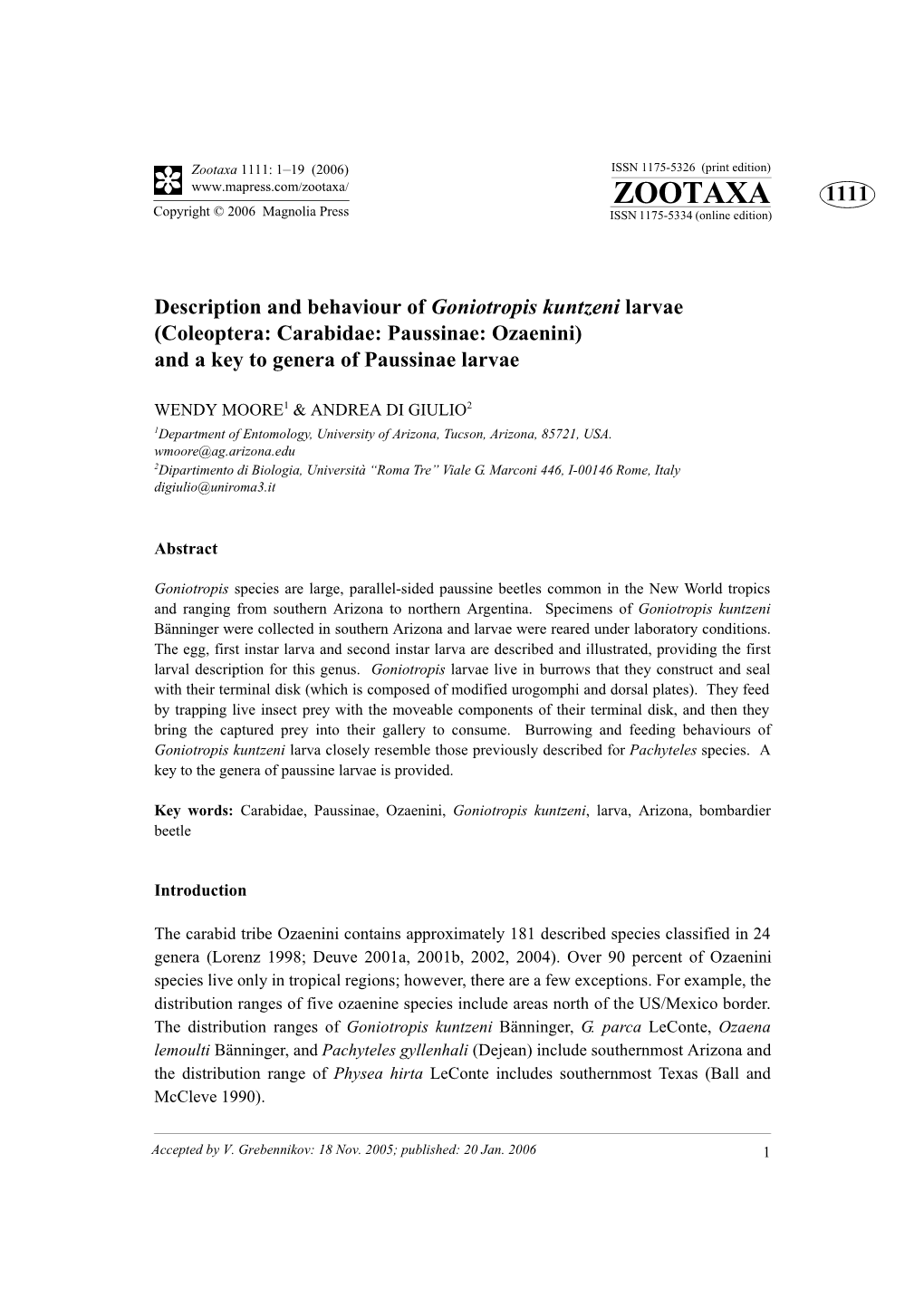 Coleoptera: Carabidae: Paussinae: Ozaenini) and a Key to Genera of Paussinae Larvae