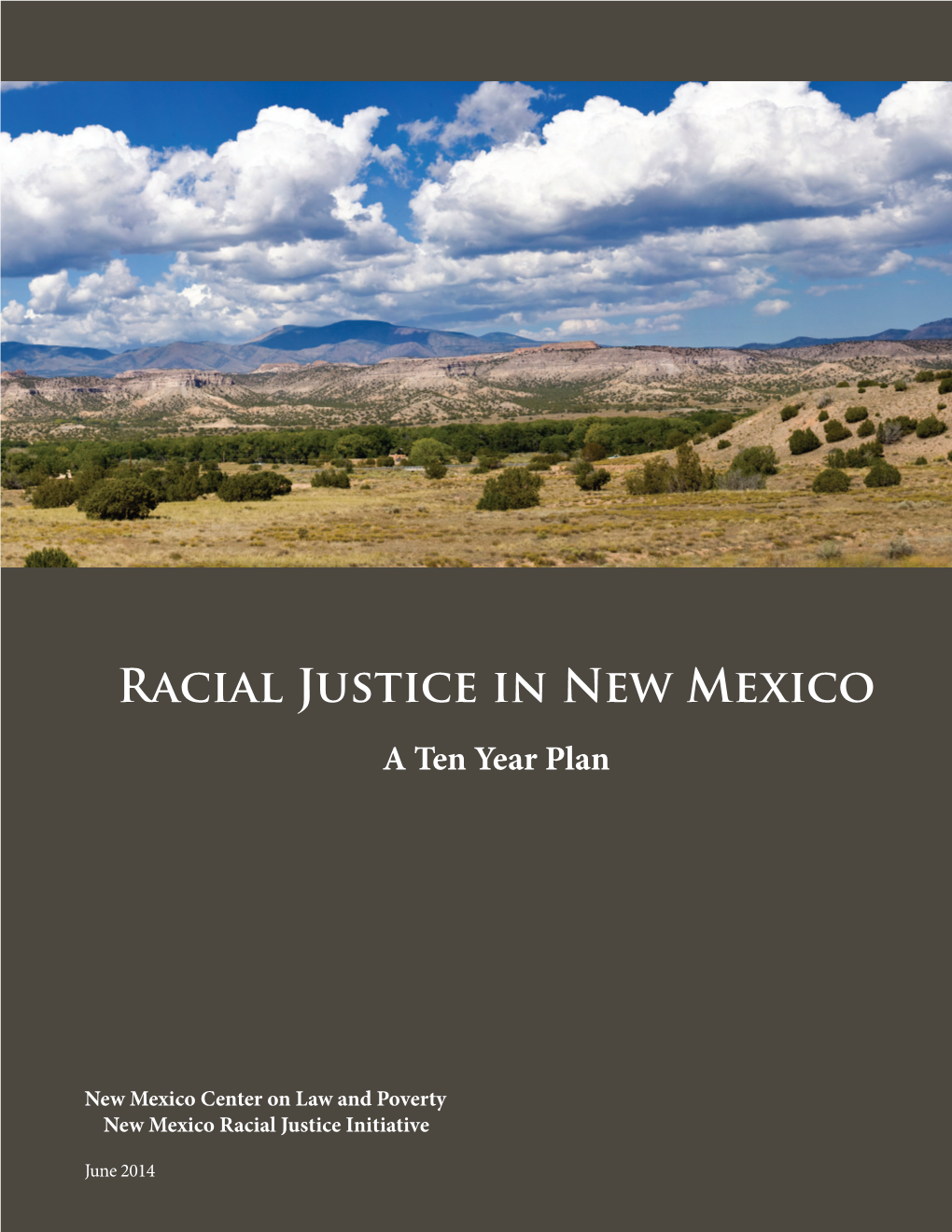 Racial Justice in New Mexico a Ten Year Plan