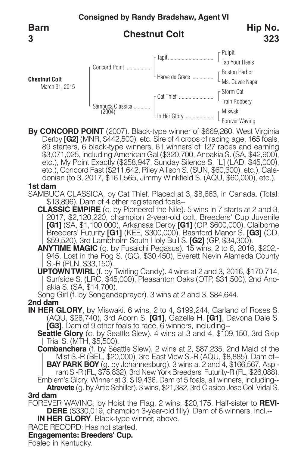 Chestnut Colt Barn 3 Hip No