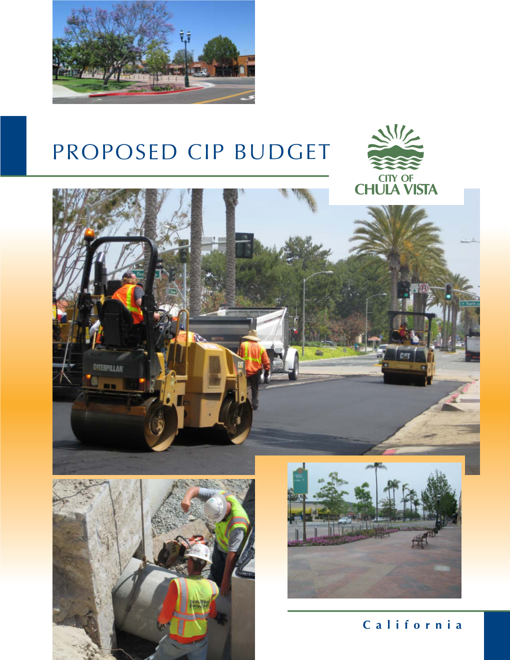 Proposed Cip Budget
