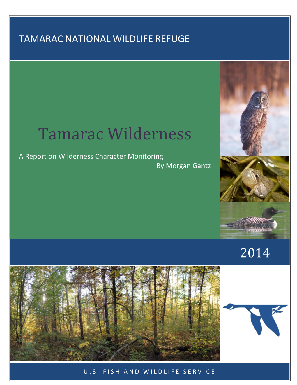 Tamarac Wilderness