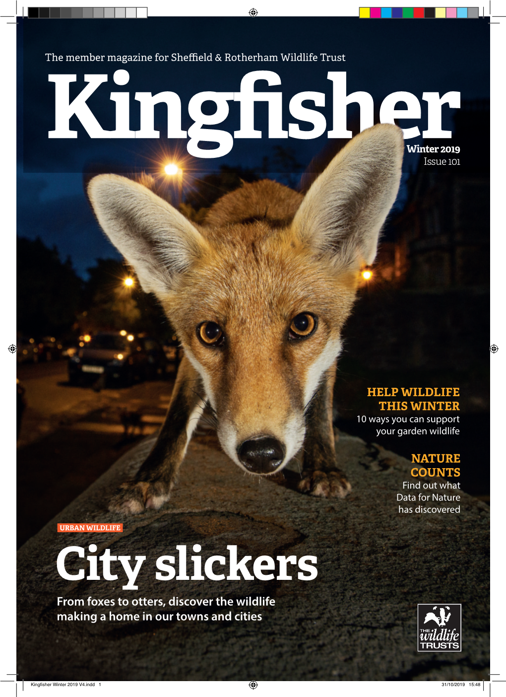 City Slickers from Foxes to Otters, Discover the Wildlife Making a Home in Our Towns and Cities