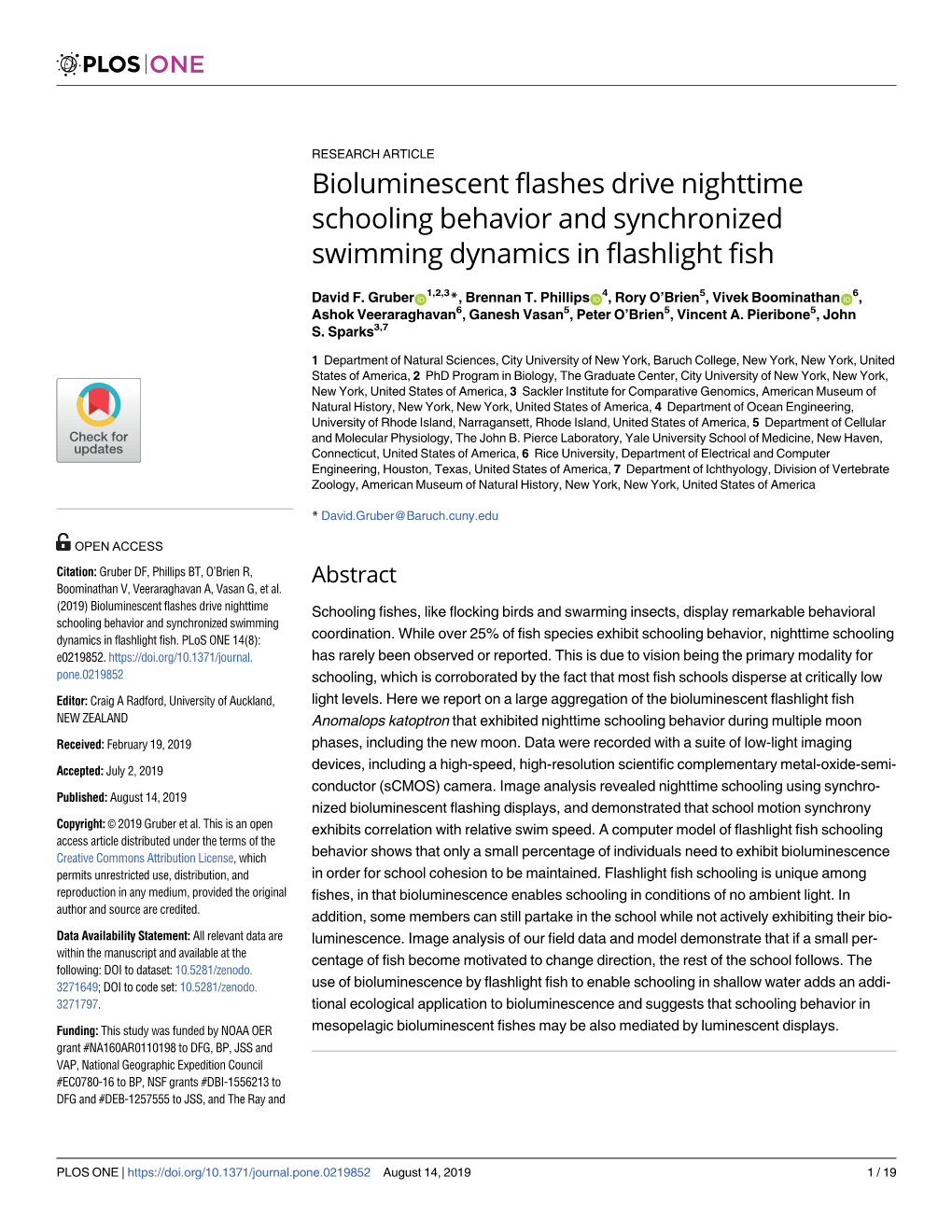 Bioluminescent Flashes Drive Nighttime Schooling Behavior and Synchronized Swimming Dynamics in Flashlight Fish