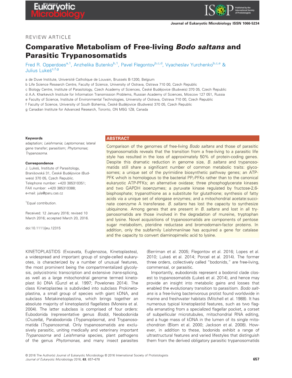 Living Bodo Saltans and Parasitic Trypanosomatids Fred R