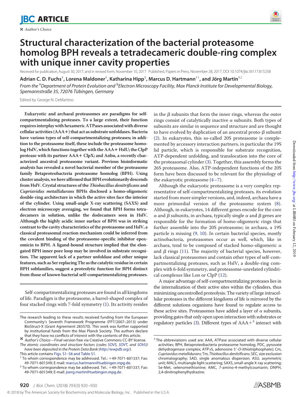 Structural Characterization of the Bacterial Proteasome Homolog BPH