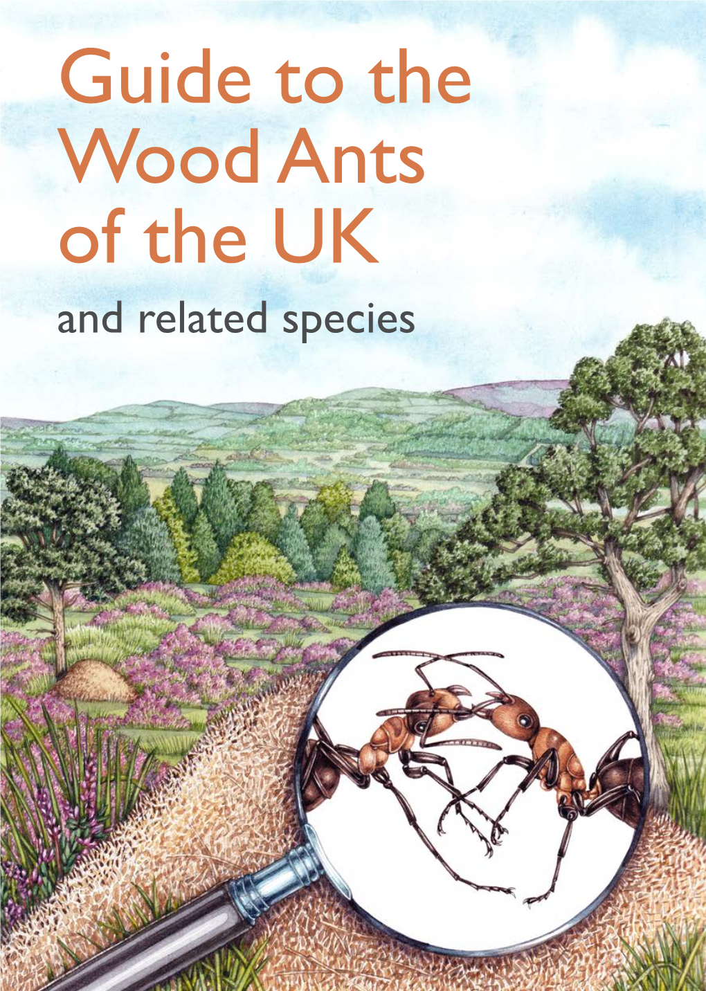 Guide to the Wood Ants of the UK