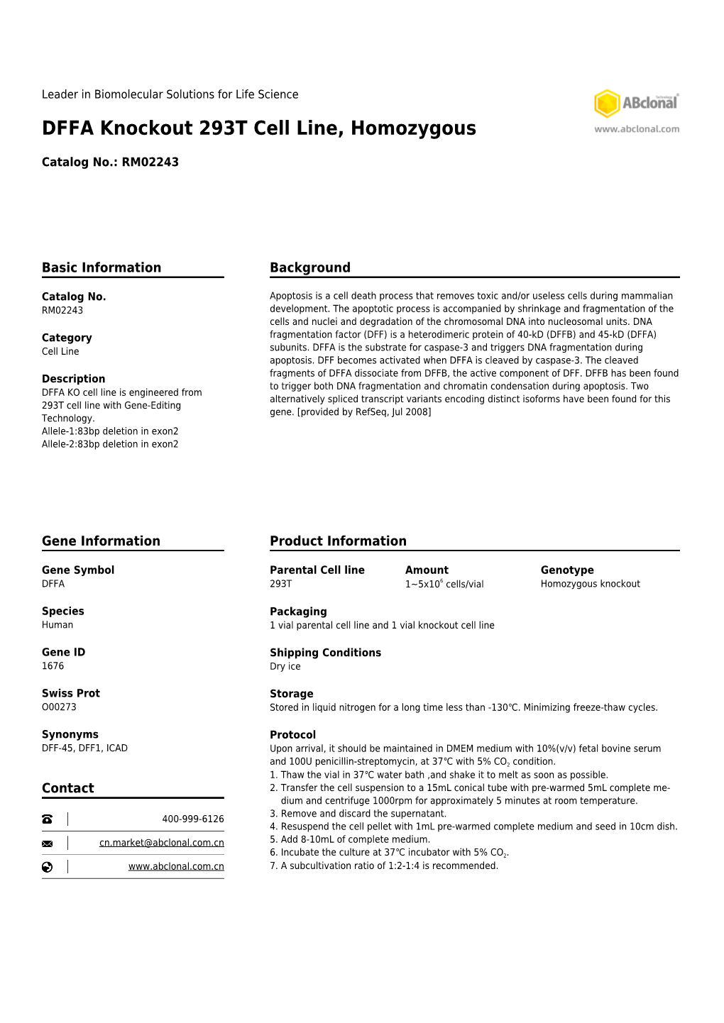 DFFA Knockout 293T Cell Line, Homozygous