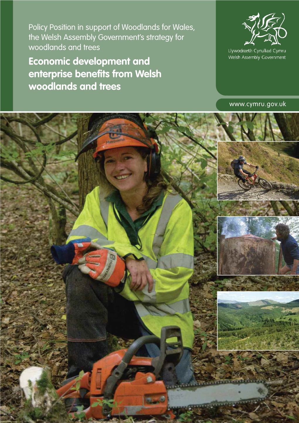 Economic Development and Enterprise Benefits from Welsh Woodlands and Trees