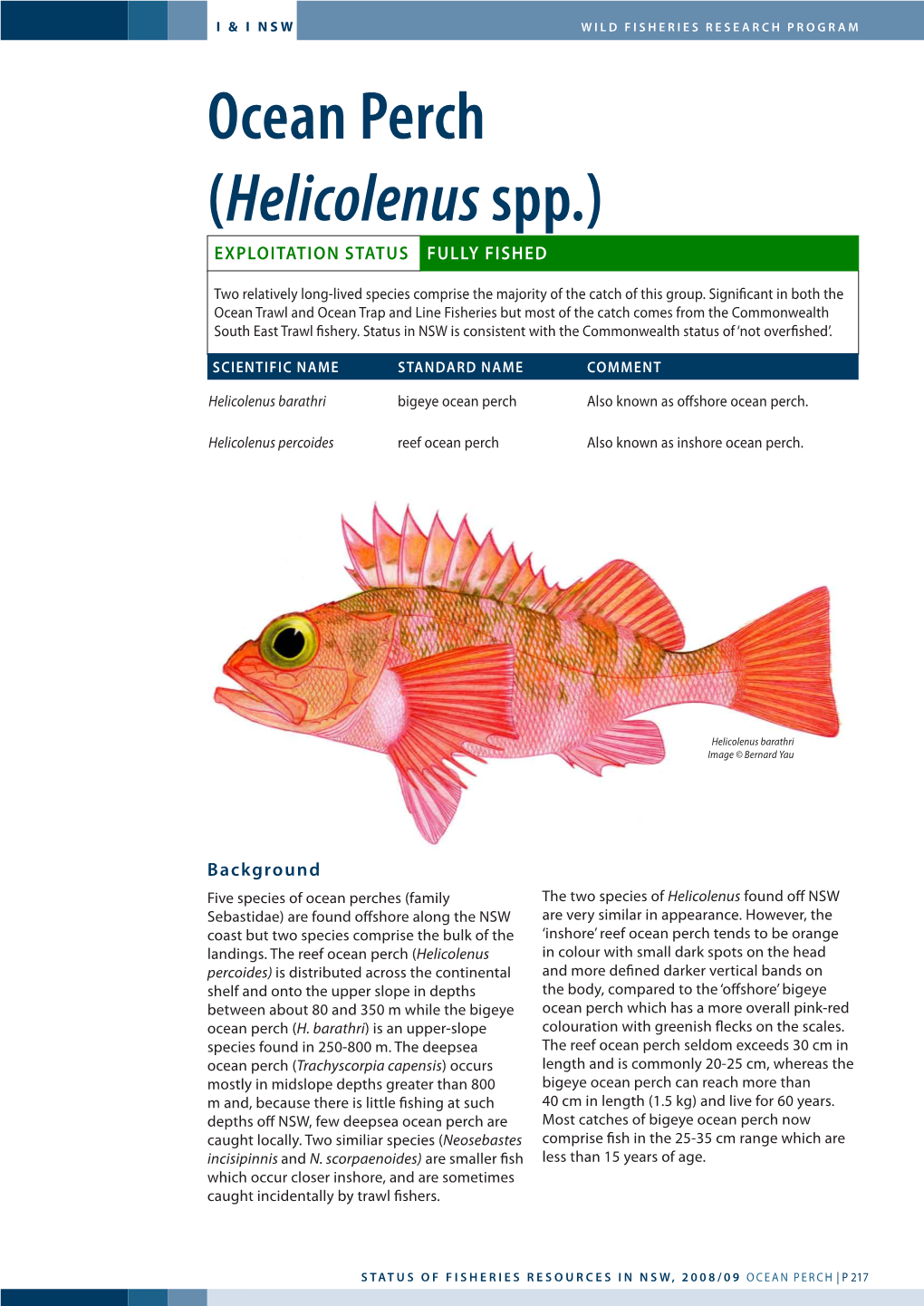 Ocean Perch (Helicolenus Spp.) Exploitation Status Fully Fished