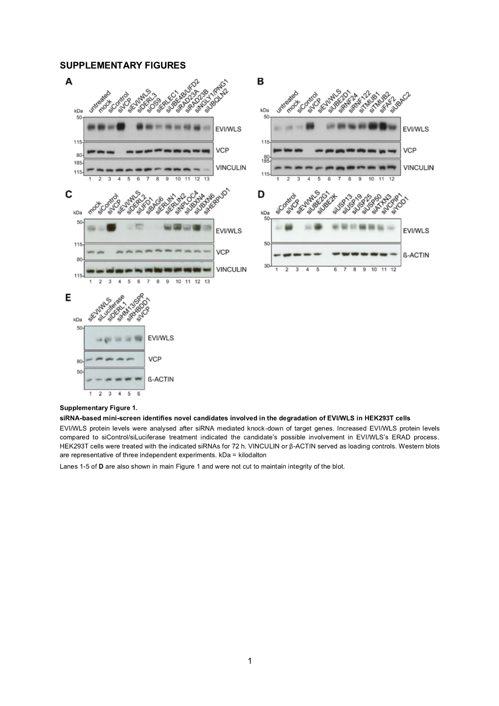 Supplementary Figures