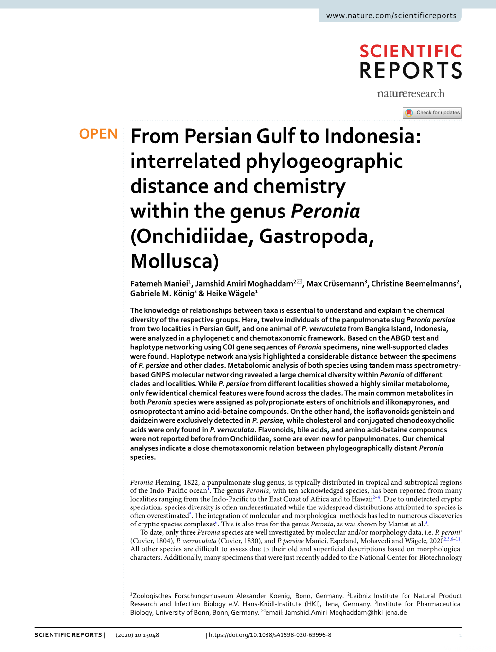 From Persian Gulf to Indonesia: Interrelated Phylogeographic