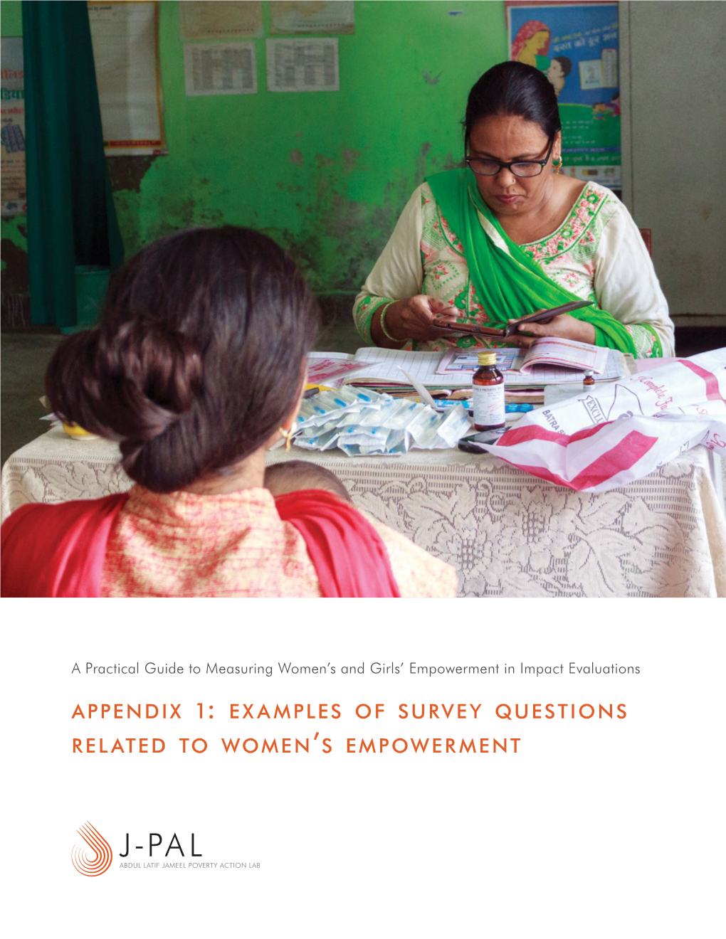 Examples of Survey Questions Related to Women's Empowerment